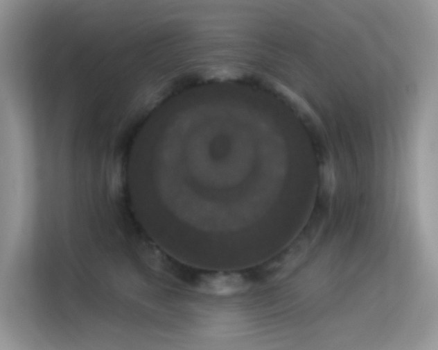 X0000113550517200909251040