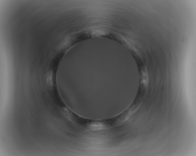 X0000113550519200909251040