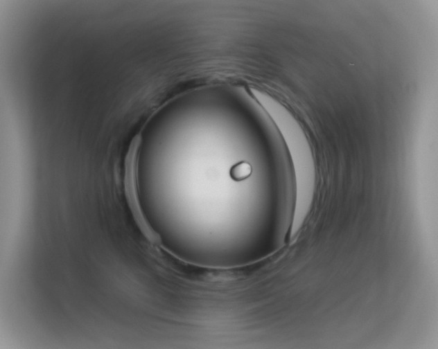 X0000113550520200909251040