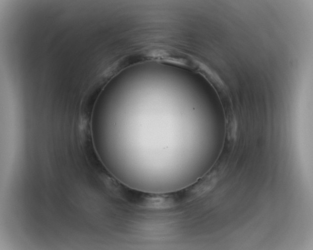 X0000113550521200909251040