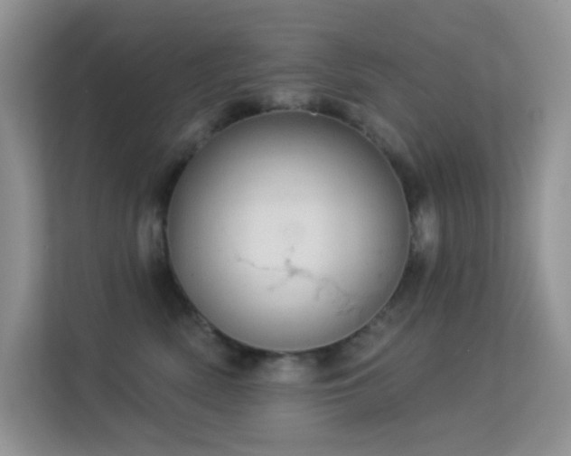 X0000113550522200909251040