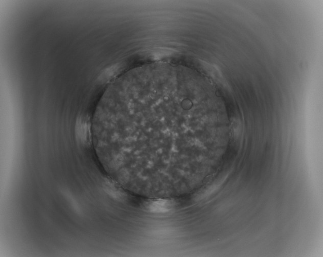 X0000113550527200909251040