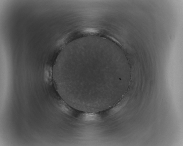 X0000113550528200909251040