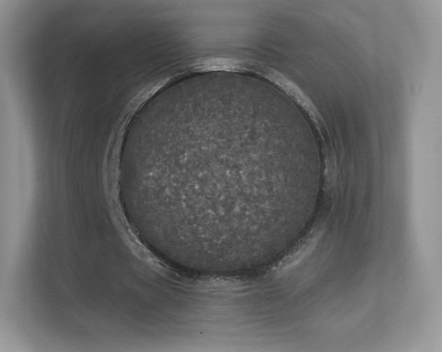 X0000113550529200909251040