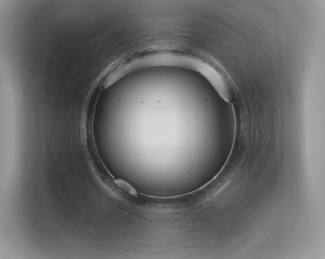 X0000113550530200909251040