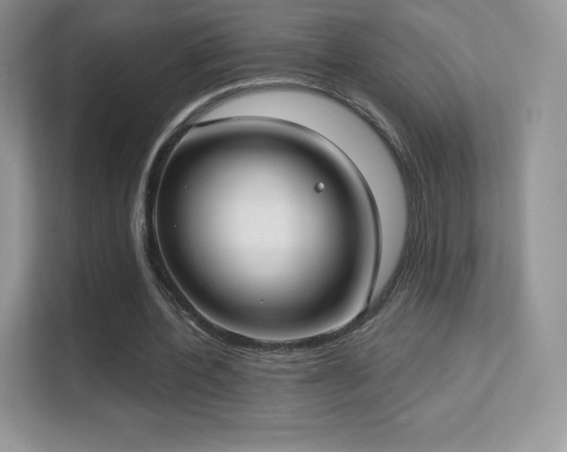 X0000113550532200909251040