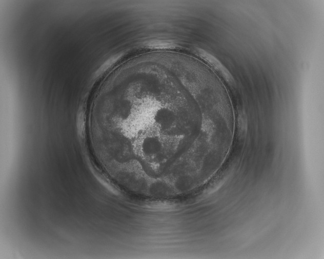 X0000113550533200909251040