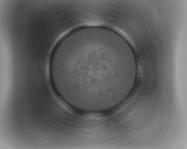 X0000113550535200909251040