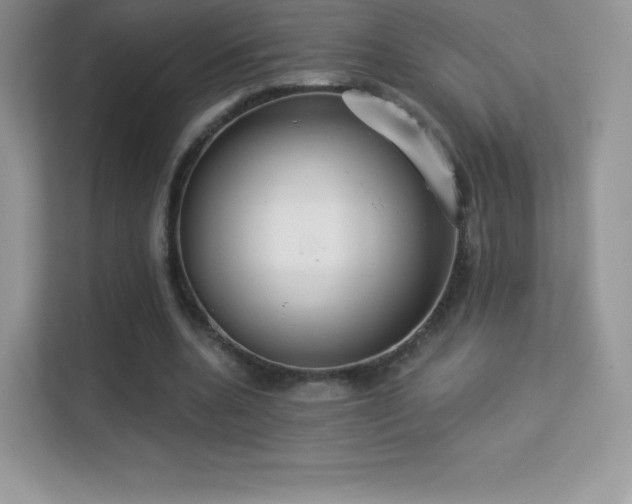 X0000113550536200909251040