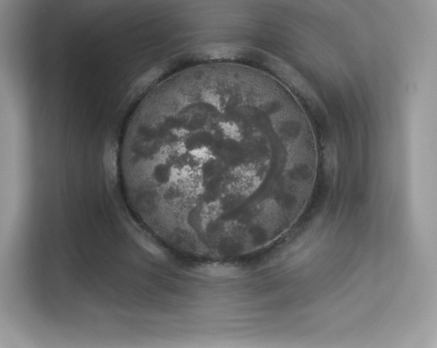 X0000113550537200909251040