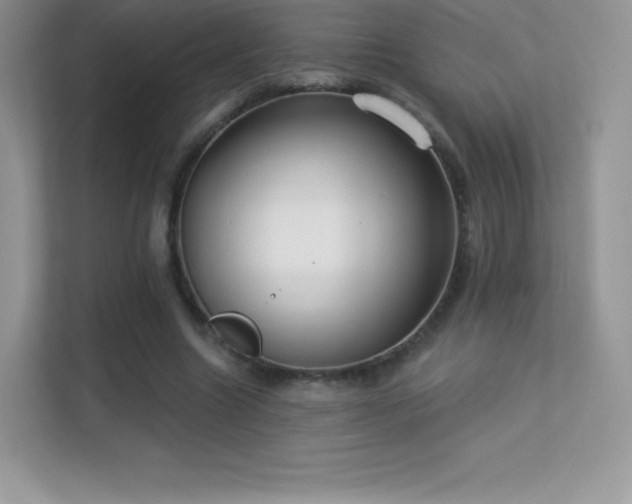 X0000113550538200909251040