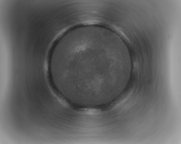 X0000113550539200909251040