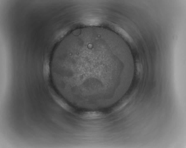 X0000113550541200909251040