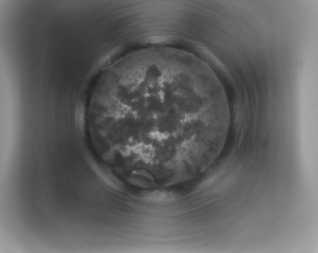 X0000113550542200909251040