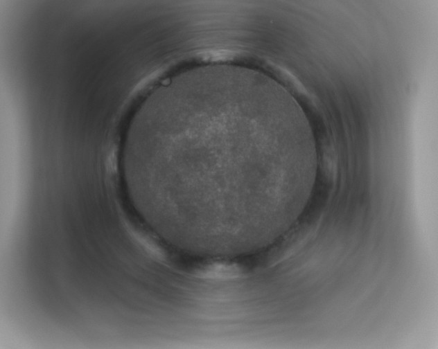 X0000113550543200909251040