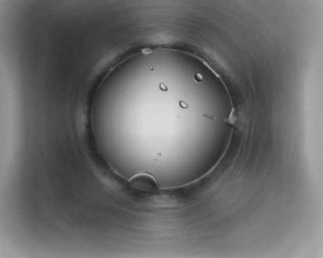 X0000113550544200909251040