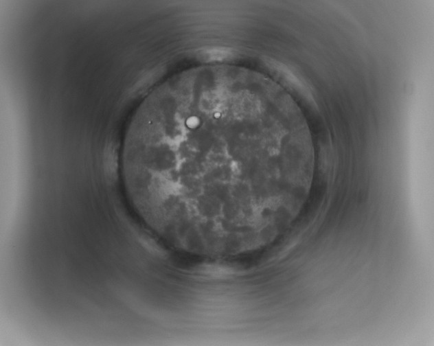 X0000113550545200909251040