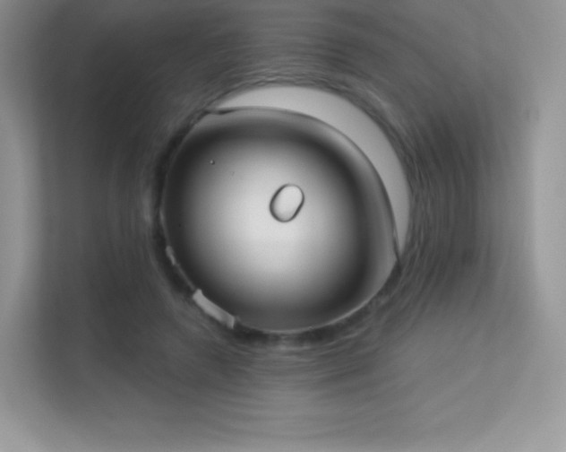 X0000113550546200909251040