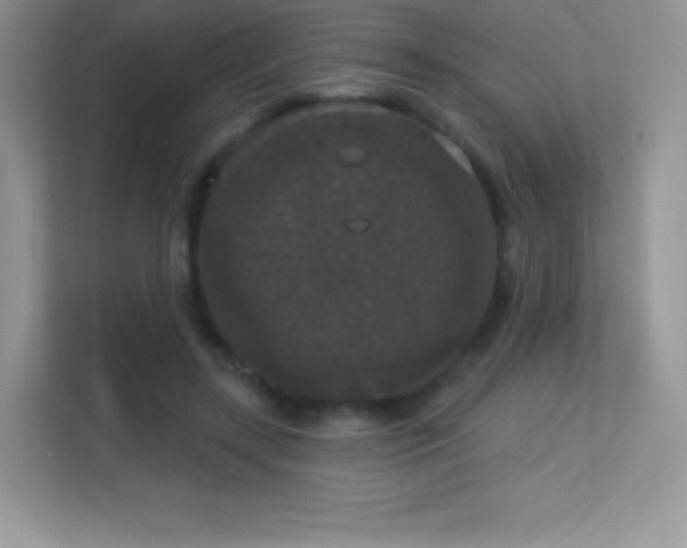 X0000113550547200909251040