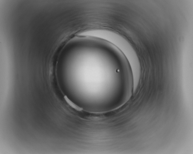 X0000113550548200909251040