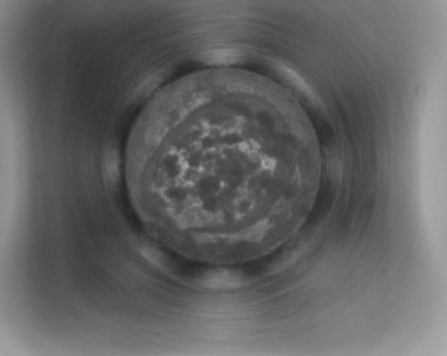 X0000113550549200909251040