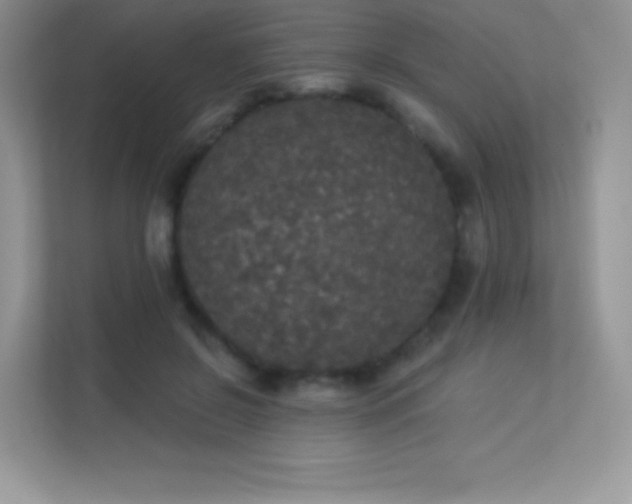 X0000113550550200909251040