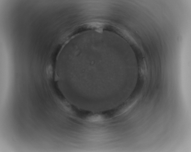 X0000113550551200909251040