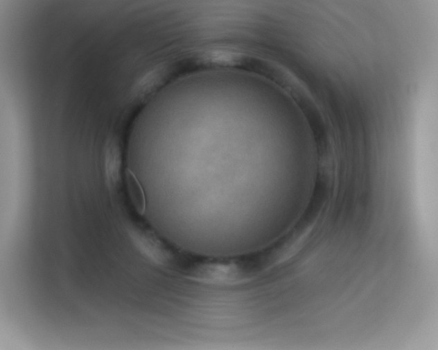 X0000113550552200909251040