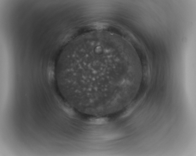 X0000113550553200909251040