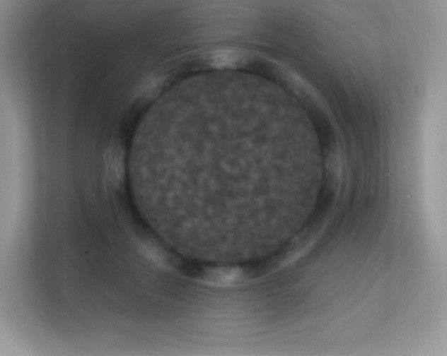 X0000113550554200909251040