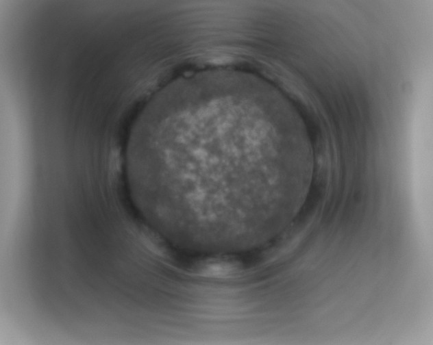 X0000113550555200909251040