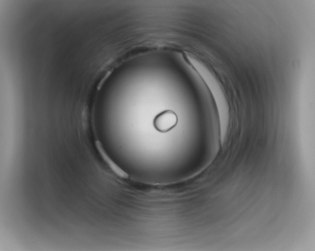 X0000113550556200909251040