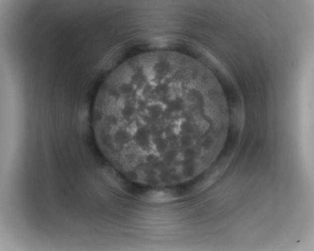 X0000113550557200909251040