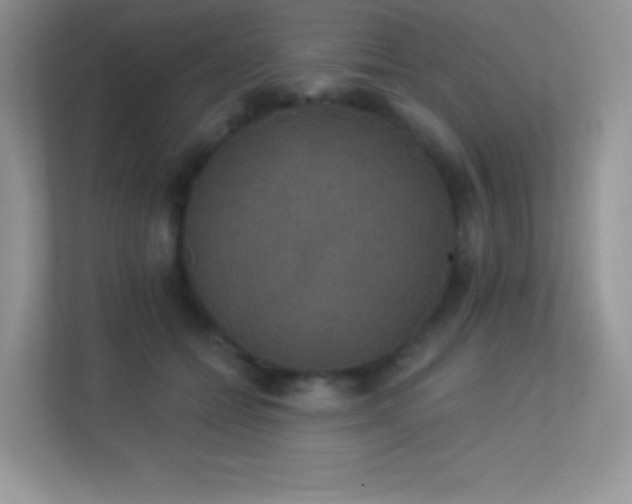 X0000113550558200909251040