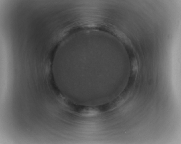 X0000113550559200909251040