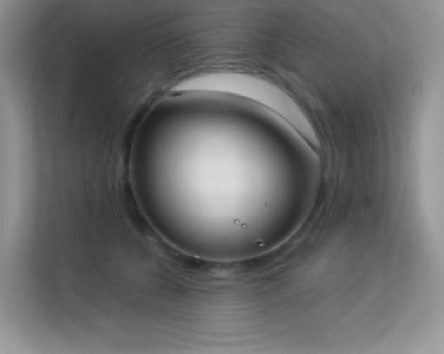 X0000113550560200909251040