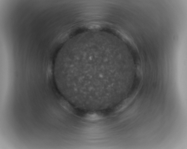 X0000113550561200909251040