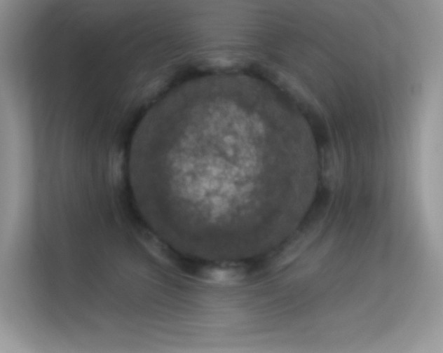 X0000113550563200909251040