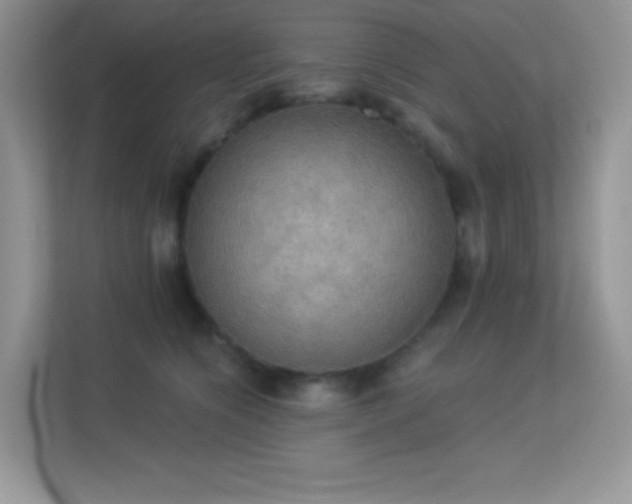 X0000113550564200909251040