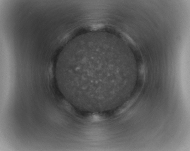 X0000113550565200909251040