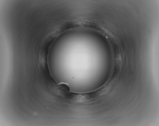 X0000113550566200909251040