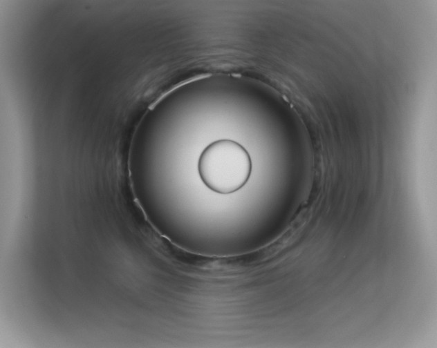 X0000113550568200909251040