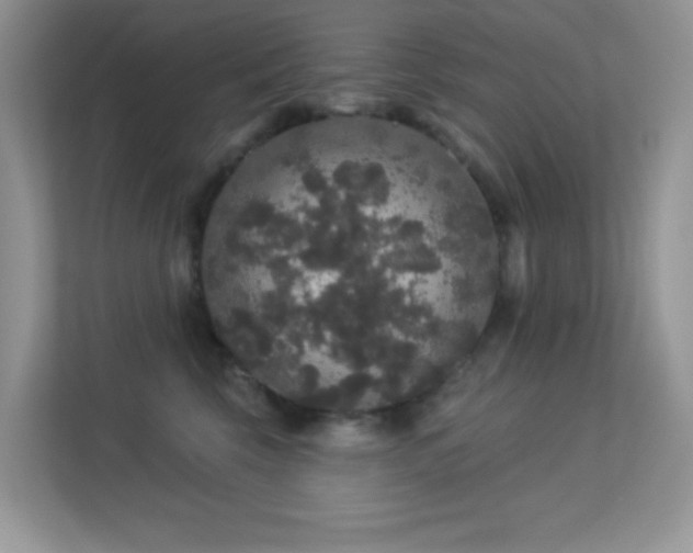 X0000113550569200909251040