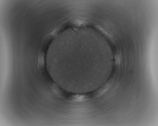 X0000113550570200909251040