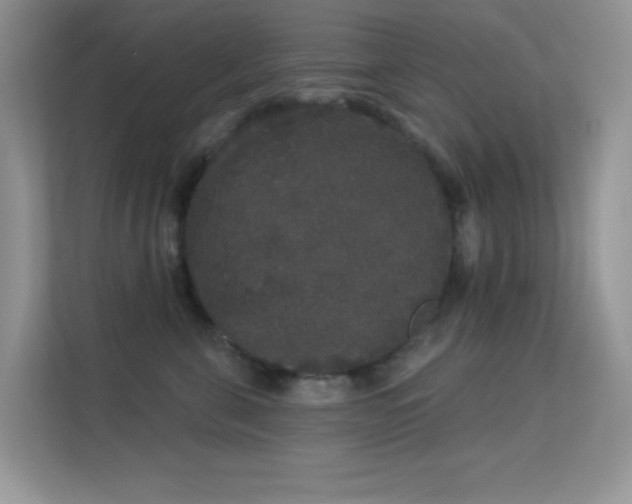 X0000113550571200909251040