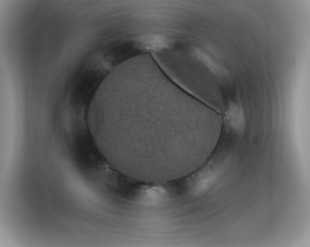 X0000113550572200909251040