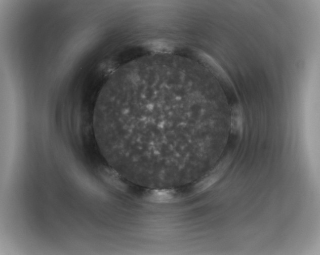 X0000113550573200909251040