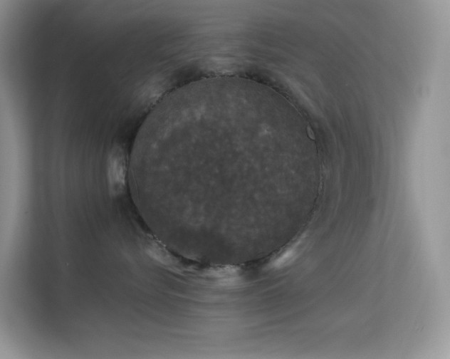 X0000113550576200909251040