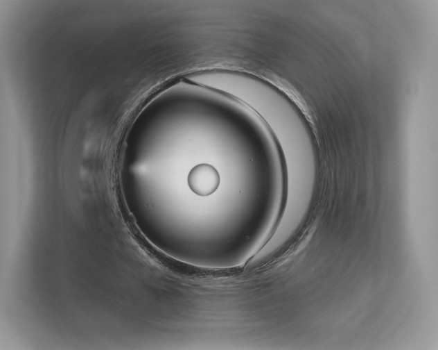 X0000113550577200909251040