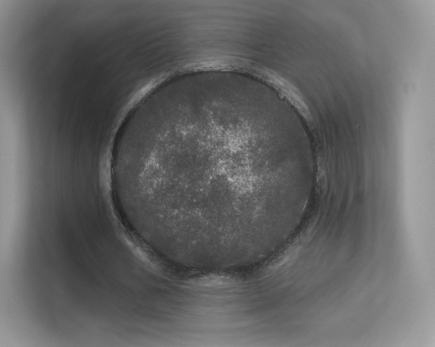 X0000113550578200909251040